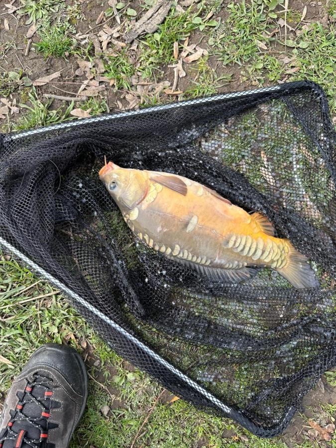 Zouw Hausboat Zakotven -Pouze Ubytovani Roudnice nad Labem Kültér fotó